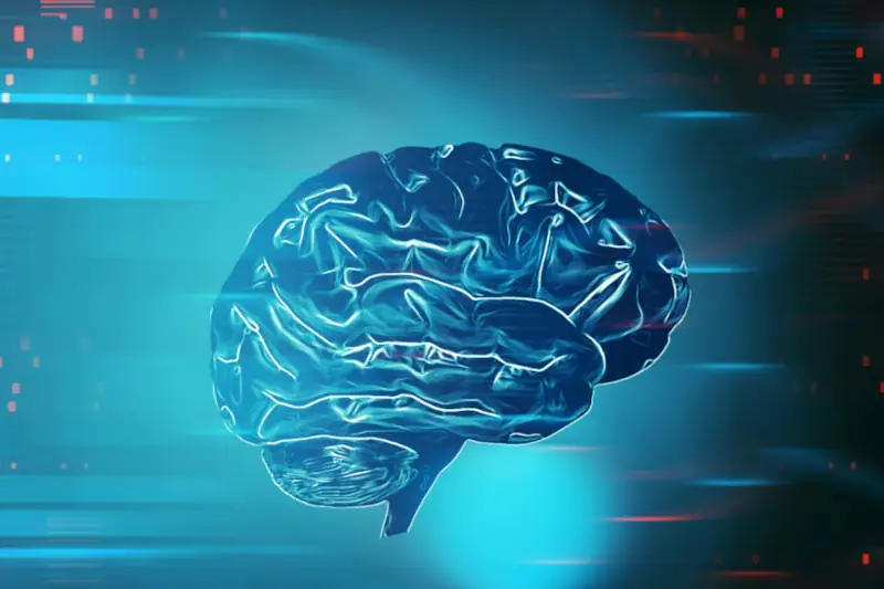 A brain