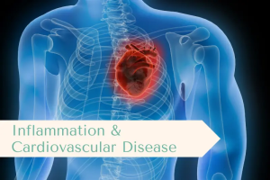 Inflammation & Heart Health: How Omega-3s Reduce Cardiovascular Risk